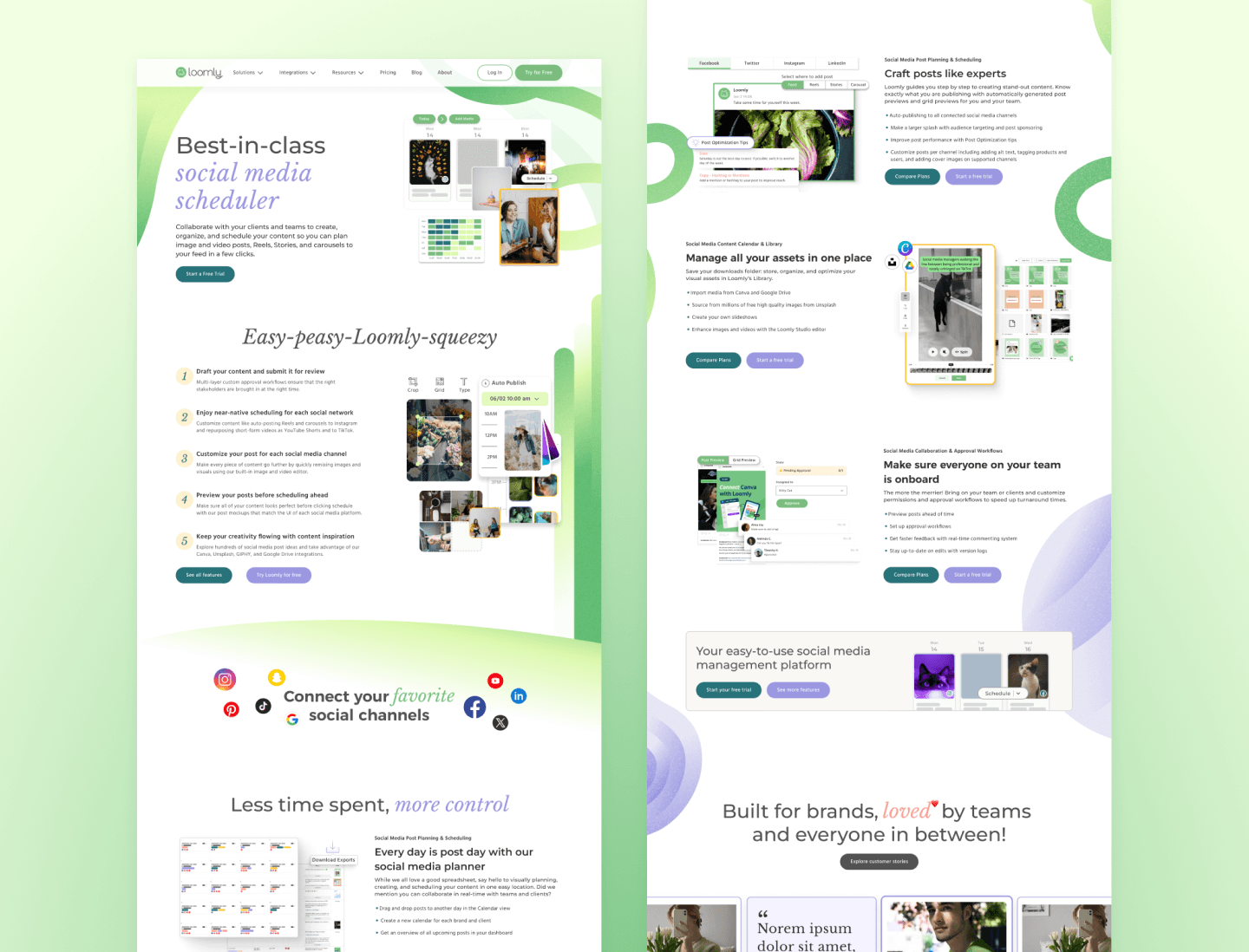 Loomly Banner Image 2